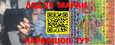 spice Будённовск