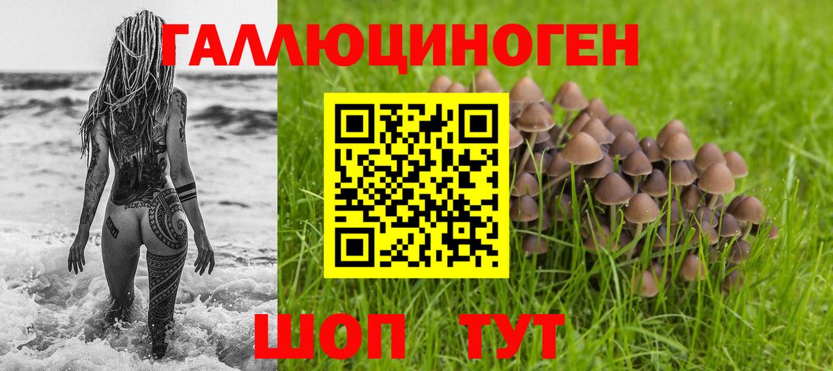 Галлюциногенные грибы прущие грибы Маркс
